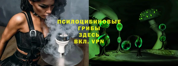 сатива Ладушкин