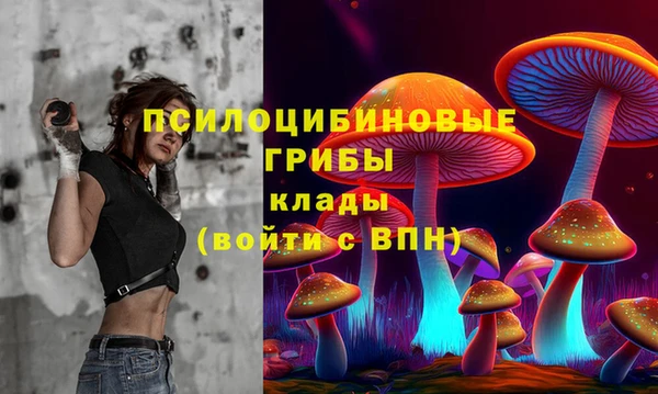 гидропоника Лабытнанги