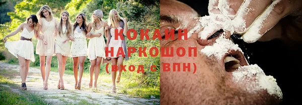сатива Ладушкин
