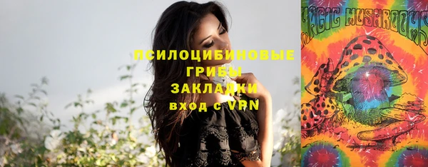 сатива Ладушкин