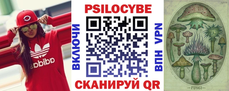 Псилоцибиновые грибы Psilocybe  Купить закладки  Комсомольск 